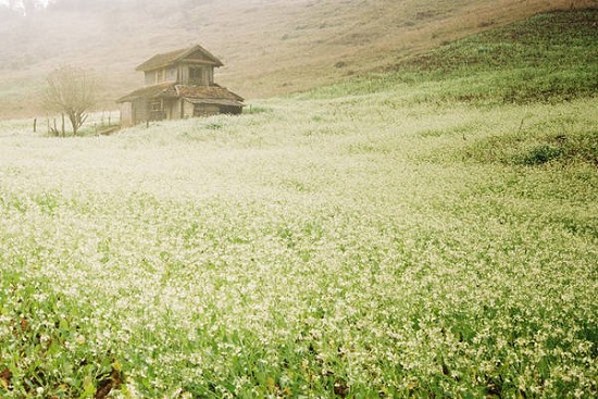 V&eacute; m&aacute;y bay đi H&agrave; Nội gi&aacute; rẻ