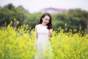 Săn vé máy bay Vietjet ngắm những triền hoa quyến rũ dịp cuối năm