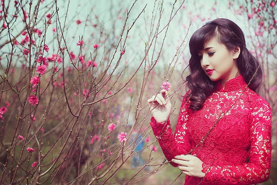 V&eacute; m&aacute;y bay đi H&agrave; Nội 