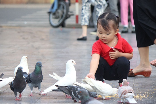 Vé máy bay từ Đà Nẵng đi Sài Gòn