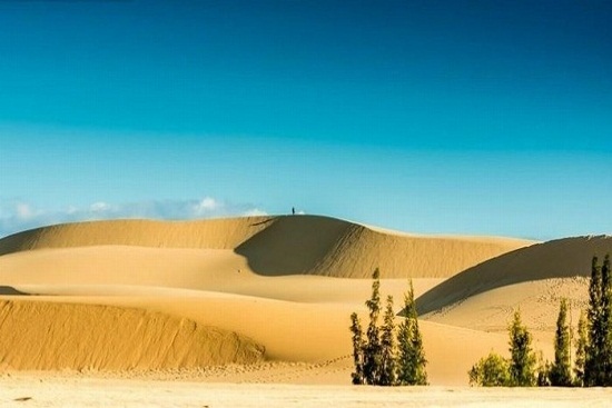 Vé máy bay giá rẻ đi Sài Gòn