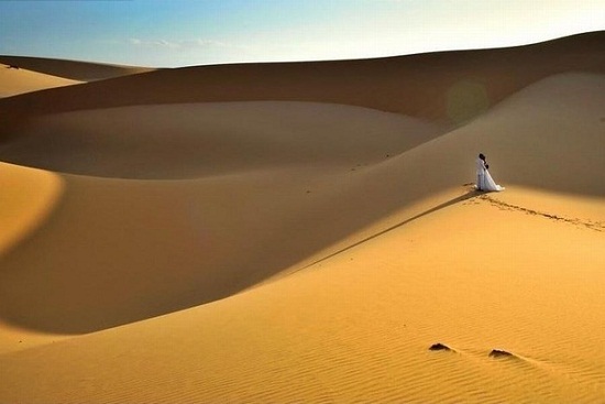 Vé máy bay giá rẻ