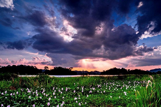 V&eacute; m&aacute;y bay đi TP HCM gi&aacute; rẻ