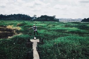 Săn vé máy bay giá rẻ “TRỐN” thành phố ở vườn quốc gia Cát Tiên