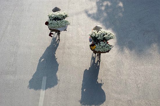 vé máy bay jetstar hà nội đà lạt	