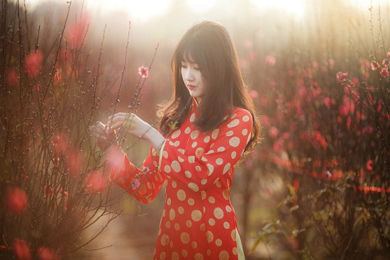 V&eacute; m&aacute;y bay đi H&agrave; Nội