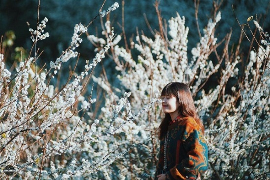 V&eacute; m&aacute;y bay Tết đi H&agrave; Nội