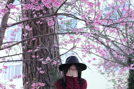 V&eacute; m&aacute;y bay Tết gi&aacute; rẻ