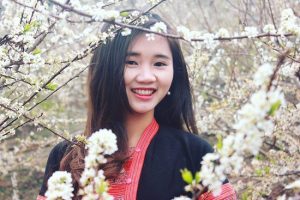 Săn vé Tết giá rẻ khám phá những mùa hoa xuân miền Bắc
