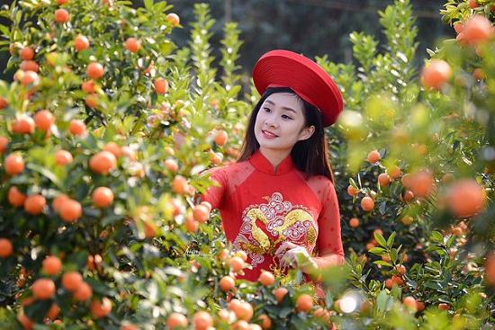 V&eacute; m&aacute;y bay Tết 2018