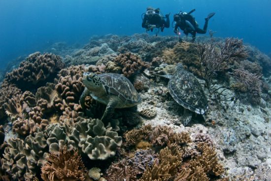 dịch vụ làm visa đi philippines du lịch