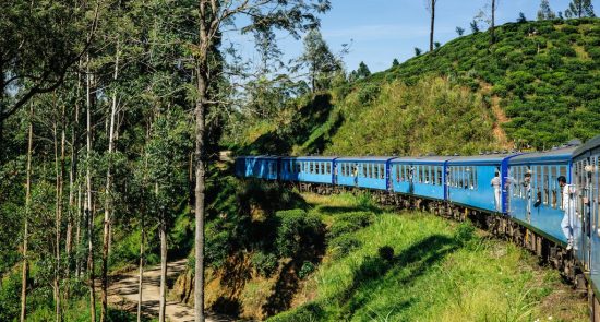 dịch vụ l&agrave;m visa đi sri lanka gi&aacute; rẻ