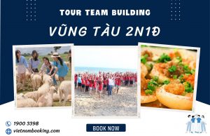 Tour Team Building Vũng Tàu 2 ngày 1 đêm: Lửa trại đêm – Nông trại cừu – Khu du lịch Hồ Mây
