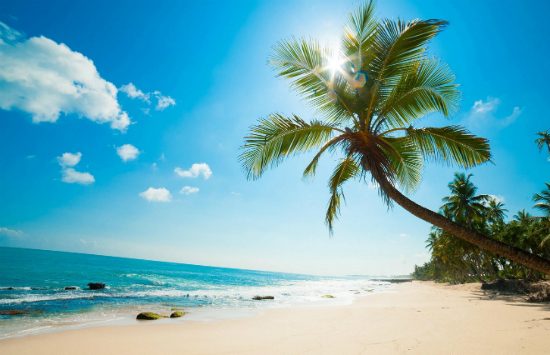 v&eacute; m&aacute;y bay đi c&ocirc;n đảo gi&aacute; tốt nhất