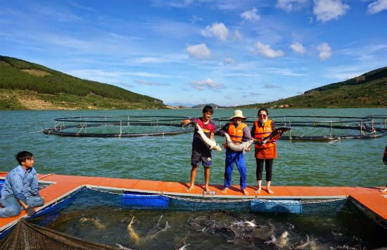 đặt tour du lịch di linh