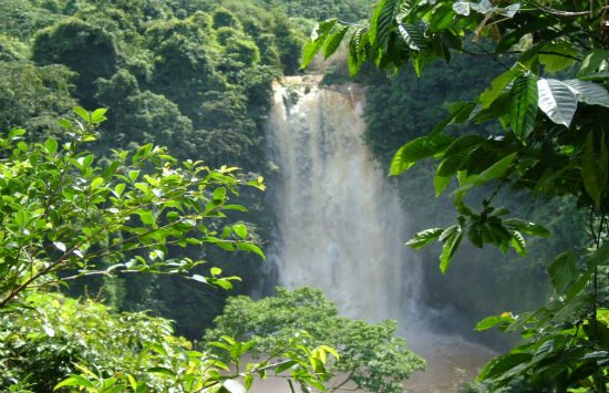 đi du lịch di linh tự t&uacute;c, gi&aacute; rẻ 