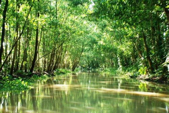 du lịch hậu giang 