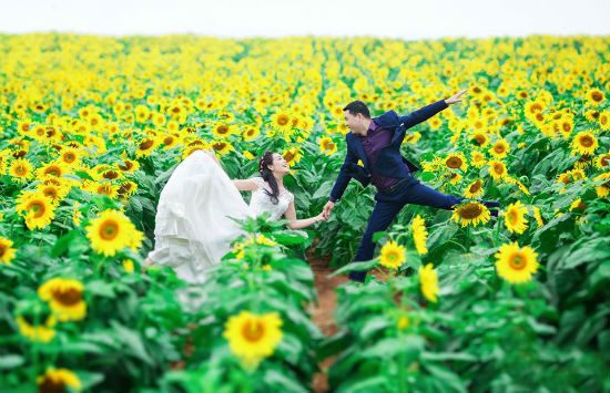 du lịch đà lạt giá rẻ ngắm hoa hướng dương 