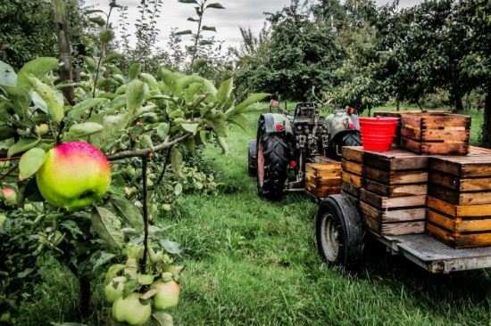 du lịch johor bahru malaysia