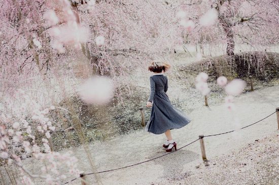 lịch trình ngắm hoa mùa xuân nhật bản