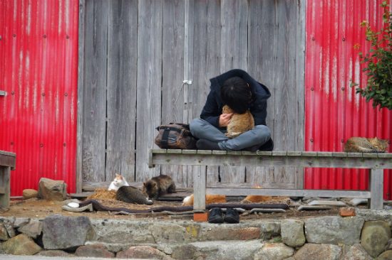 nên đi du lịch nhật bản vào mùa nào 