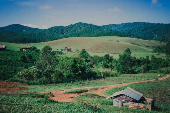 kinh nghiệm du lịch lâm đồng