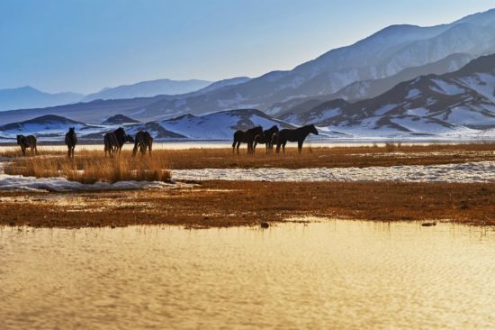 đi du lịch uzbekistan từ việt nam