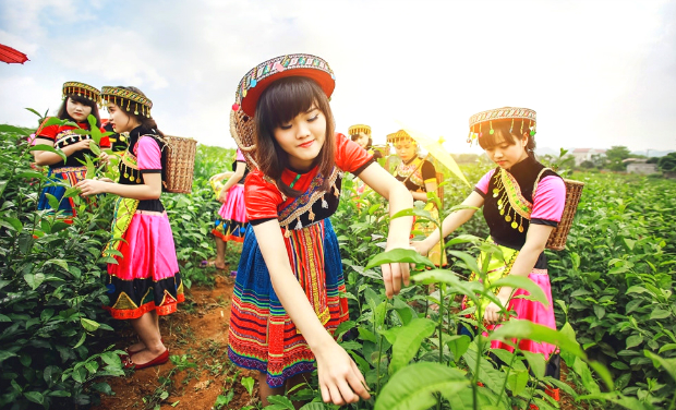 du lịch Mộc Châu mùa hoa mận