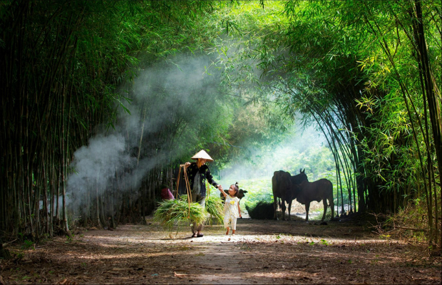 Tất tần tật về hộ chiếu công vụ Việt Nam