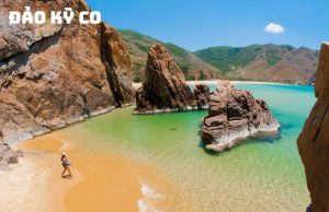Tour Bình Định – Phú Yên 3 Ngày 2 Đêm Khám Phá Thiên Đường Miền Trung