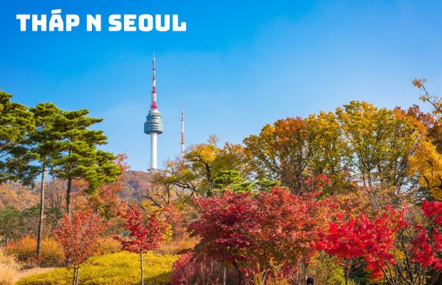 Tour du lịch Hàn Quốc mùa thu (5N4Đ): HCM – Seoul – Nami – Everland