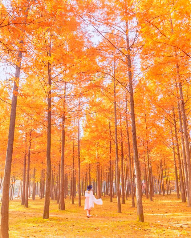 Vé máy bay Đà Nẵng đi Hàn Quốc