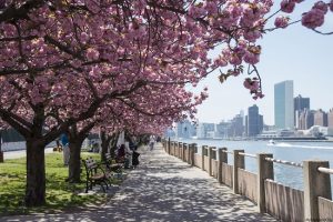 Vé máy bay từ Đà Nẵng đi New York