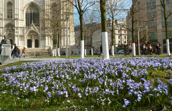 săn v&eacute; m&aacute;y bay gi&aacute; rẻ từ đ&agrave; nẵng đi brussels