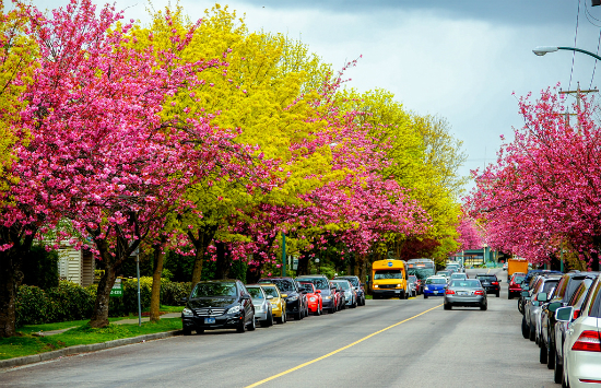 vé máy bay từ đà nẵng đi vancouver