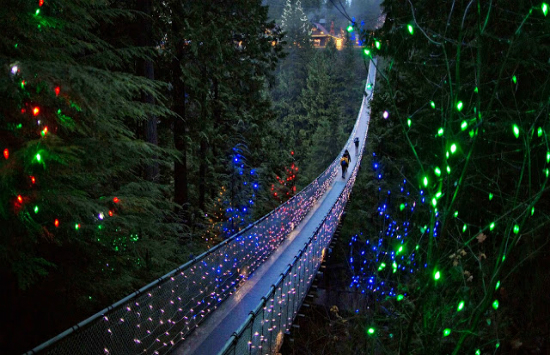 book vé máy bay từ đà nẵng đi vancouver giá rẻ nhất