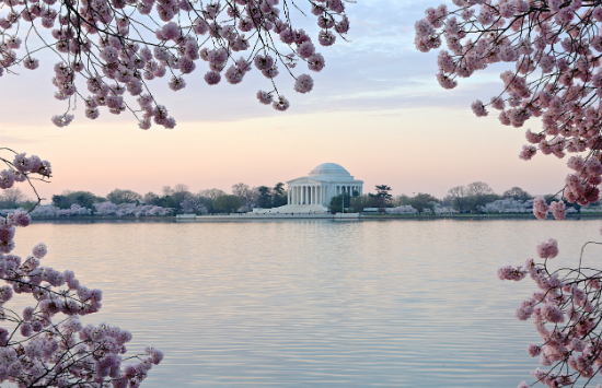 mua v&eacute; m&aacute;y bay gi&aacute; rẻ từ đ&agrave; nẵng đi washington