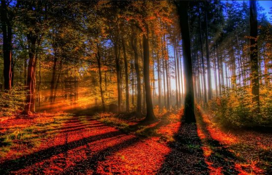 mua v&eacute; m&aacute;y bay gi&aacute; tốt từ h&agrave; nội đi frankfurt