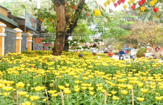 mua vé máy bay đi nẵng giá rẻ vietnam airlines