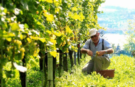 hồ sơ xin visa 407 đi &uacute;c