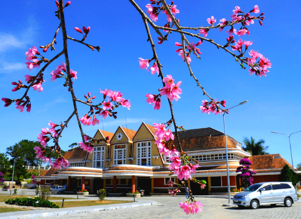 ga Đà Lạt du lịch Tết