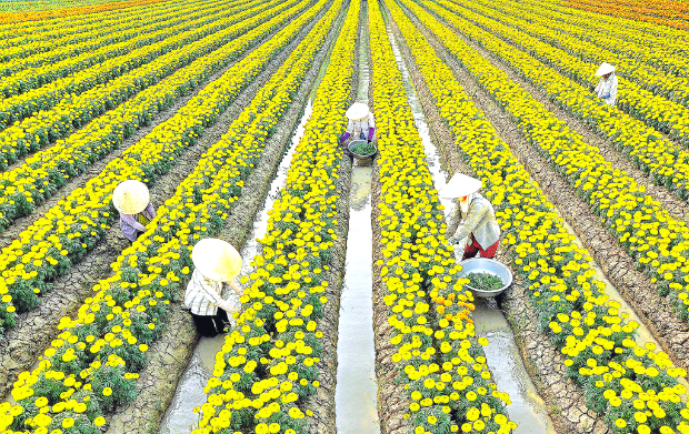 tết miền Tây du lịch Tết