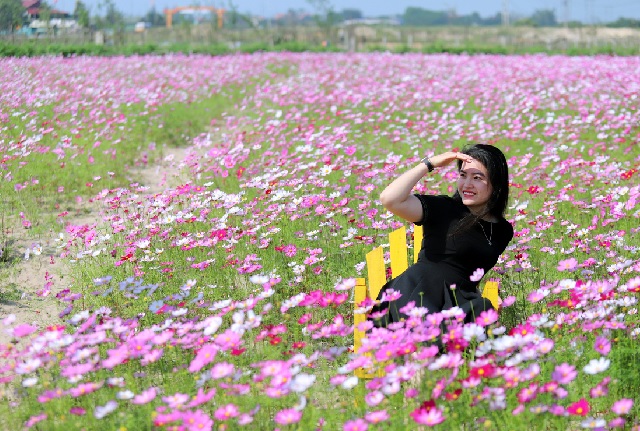 cánh đồng cánh bướm hà tĩnh