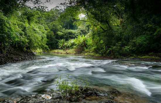 kinh nghiệm du lịch b&igrave;nh phước 