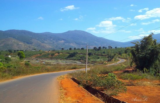 du lịch cao nguyên di linh