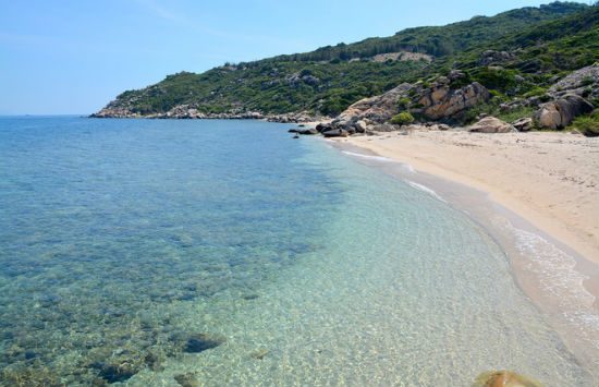 kinh nghiệm du lịch cù lao xanh hấp dẫn