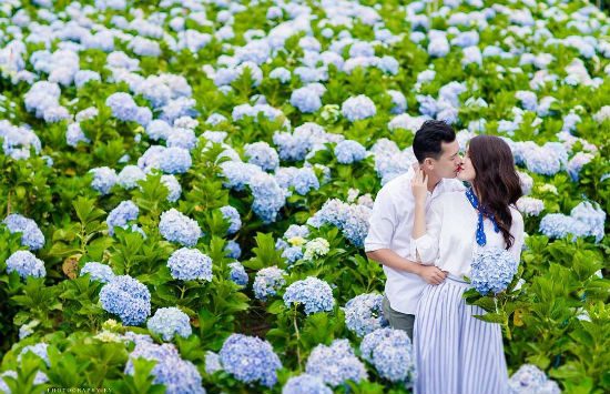 kinh nghiệm du lịch đà lạt 