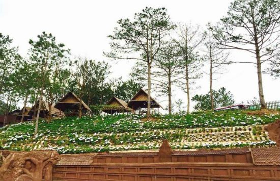 cẩm nang du lịch sài gòn