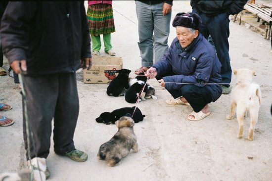 du lịch hà giang mùa nào đẹp