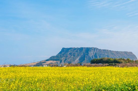 du lịch hàn quốc tháng nào đẹp